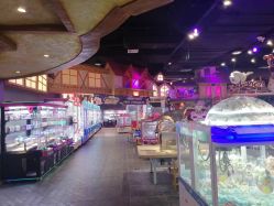-卡通尼乐园(重庆南坪协信星光店)
