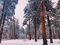 -科罗拉多大峡谷