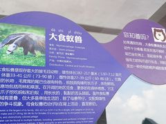 -无锡动物园·太湖欢乐园