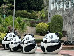 -石排湾郊野公园