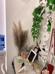 点击看大图 -妍理·植物养发