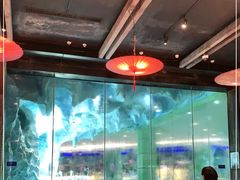 大堂-帝企鹅自助餐厅•儿童岛•真企鹅(长隆企鹅酒店)