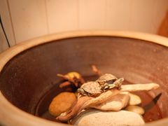 -Rabbit Cafe私房西餐甜点咖啡(栖霞路店)