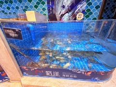 -乔哥铭洋海鲜自助(皇城恒隆广场店)