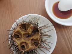 -海胆小馆(东北水饺·春柳店)