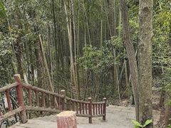 -潜山国家森林公园