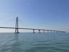 -招商蛇口邮轮母港(观光客运)