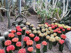 -南山植物园