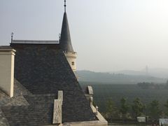 -北京张裕爱斐堡酒庄