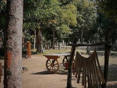 -福田红树林生态公园