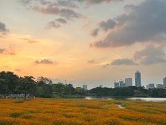 -海珠湖公园