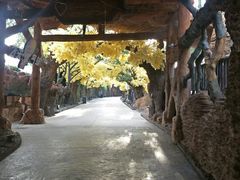 -横店影视城梦幻谷园区