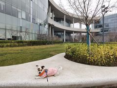 -中关村生命科学园