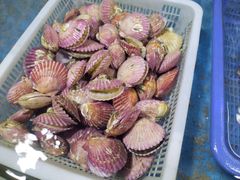 -老太太海鲜城(森林公园任家台店)