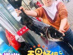 活鱼现杀-全乐鱼馆·淳牌有机鱼直营店