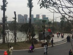 -枫香湖儿童公园