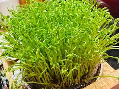 -好彩猪肚鸡(正弘城店)