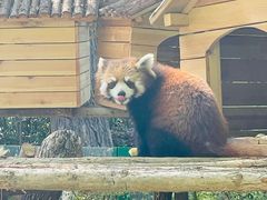 -郑州市动物园