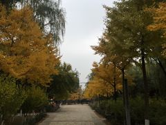 -东升八家郊野公园