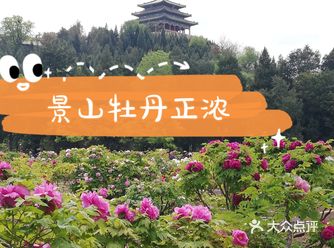 百花争春冠牡丹，非遗传承悦景山