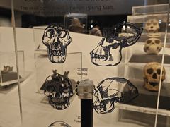 -北京周口店北京人遗址博物馆