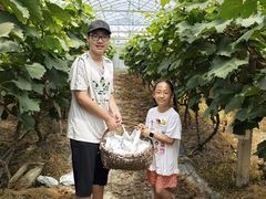 -马陆小张葡萄园农家乐