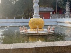 -泰山风景名胜区-普照寺