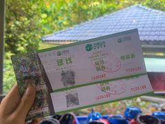-天鹿湖森林公园