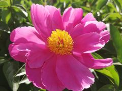 -大钟寺古钟博物馆