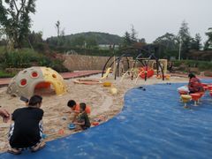 -铁山坪森林公园