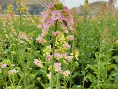 -中国天府农业博览园