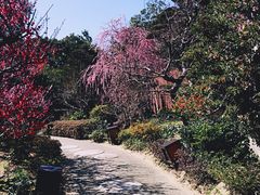 -南紀白浜 浜千鳥の湯 海舟