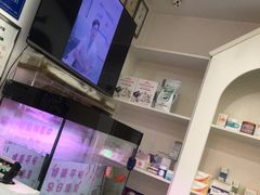-特一安24小时宠物医院·骨科·中兽医