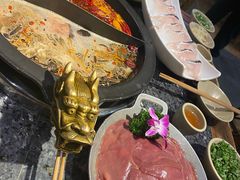 -蜀大侠火锅(建设路第五大道店)