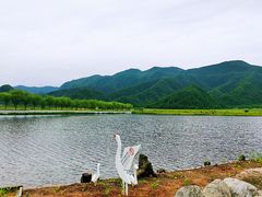 -大九湖