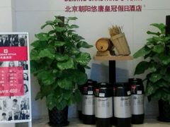 -北京朝阳悠唐皇冠假日酒店