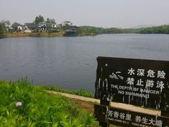 -大塘金香草谷