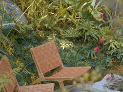 -深圳仙湖植物园