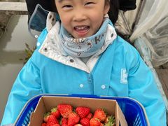 -小鱼草莓采摘园农家乐·小鱼餐厅