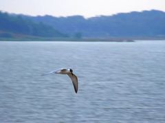 -池州市平天湖风景区