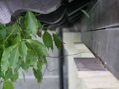 -圣玛利亚女中旧址