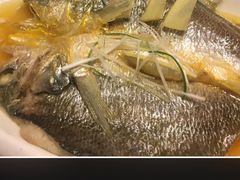 -豆花酒楼·三十八年匠心(秦皇东大街店)