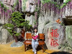 -泉城欧乐堡海洋极地世界
