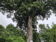 -金堂县云顶石城风景区