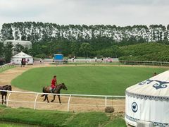 -迪茵湖田家舍生态农场