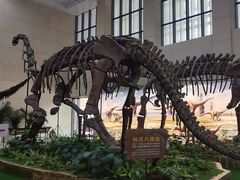 -广西壮族自治区博物馆