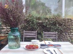 -Cafe In Little Forest