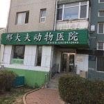 -邢大夫动物医院