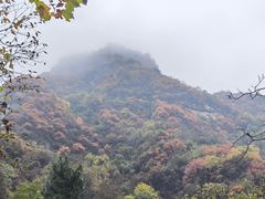 -秦岭终南山世界地质公园翠华山景区