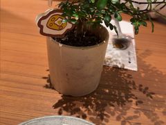-CURRY YA 熟成咖哩專門店(深圳湾万象城店)